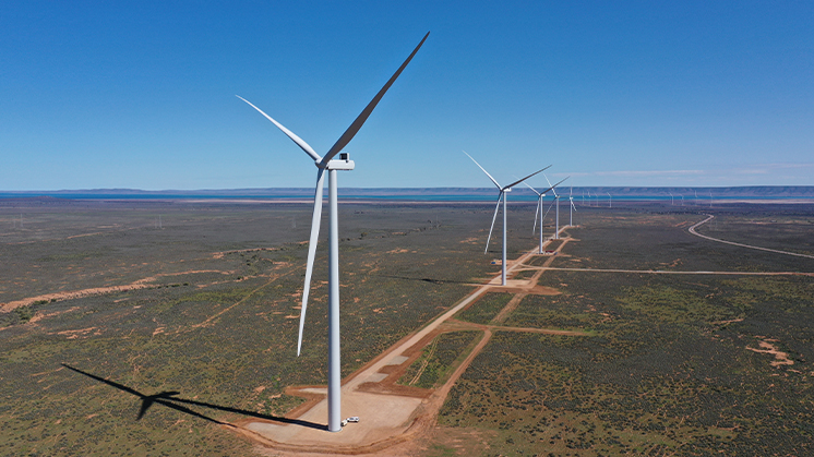 A total of 50 wind turbines have already been installed in the complex.