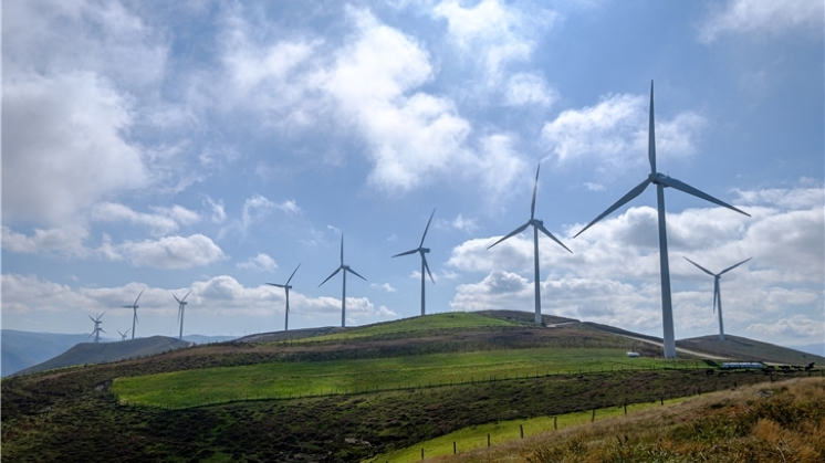 El Sedregal wind farm