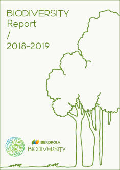 IB_Informe_Biodiversidad_2018_2019