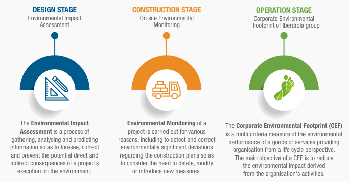 Impact phases.