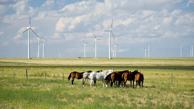 Parque eólico de Twin Buttes (Colorado, Estados Unidos).