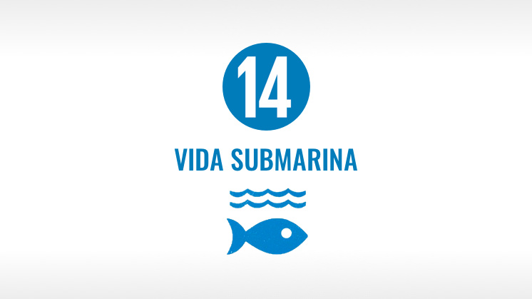 Objetivo 14: Vida submarina. 