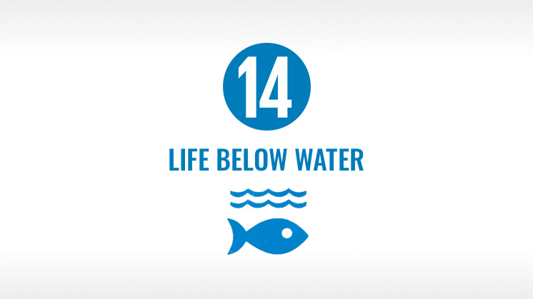Goal 14: Life below water. 
