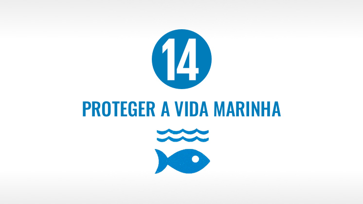 Objetivo 14: Proteger a vida marinha.