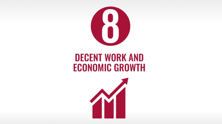 Goal 8: Decent work and economic growth.