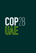 COp28