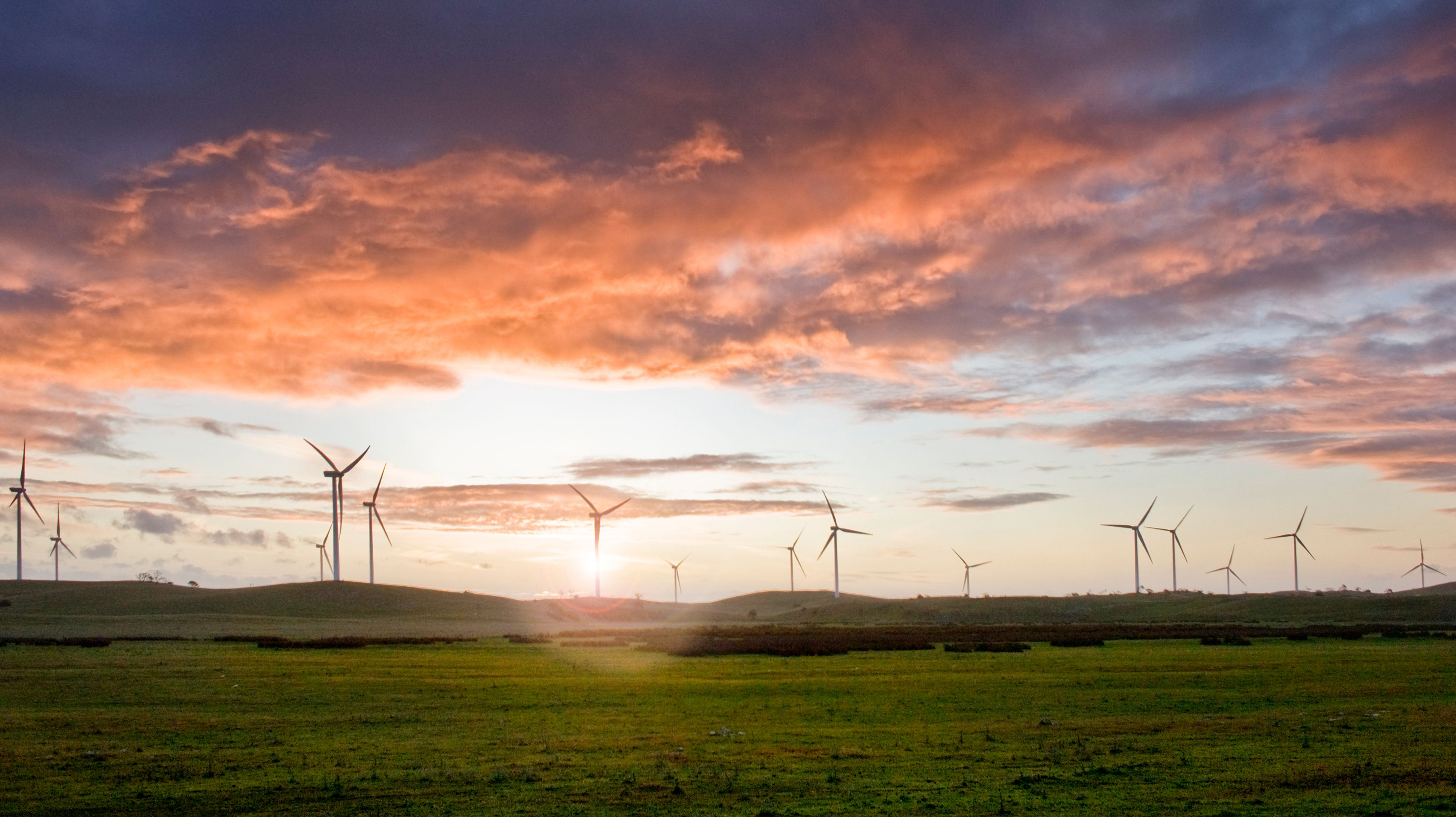 Energy transition, an Iberdrola commitment 20 years ago - Iberdrola