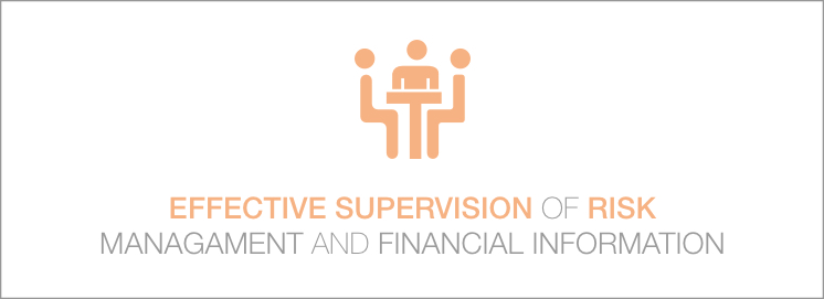 Effective supervision of risk management and financial information.