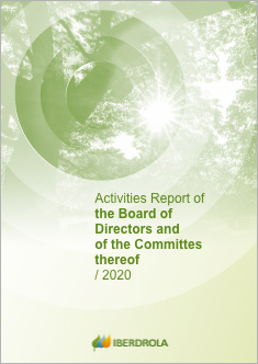 Activities Report of the Board of Directors and of the Committees thereof 2020.
