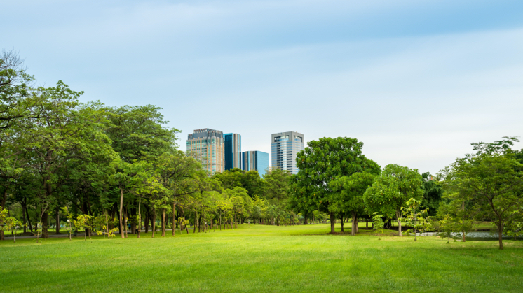 Os corredores verdes se revelaram úteis para reduzir a poluição atmosférica das cidades.