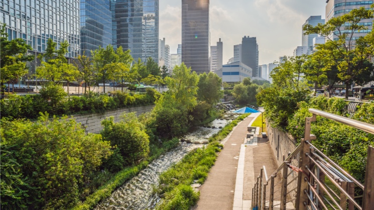 Cheonggyecheon, Seoul.