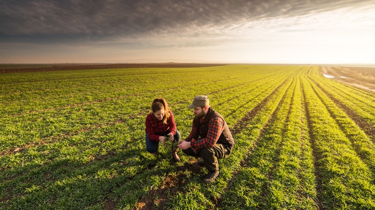 The current model of food production is unsustainable and organic farming is presented as an alternative.