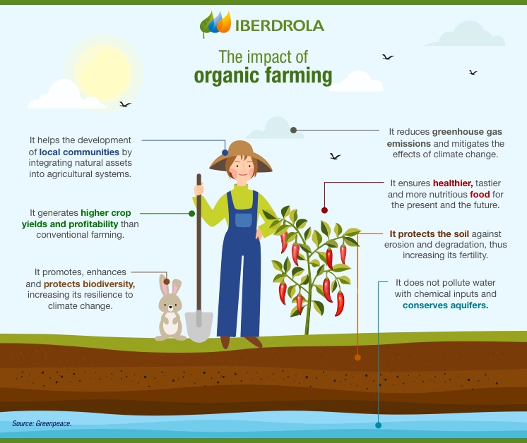 Organic farming: food production using natural substances - Iberdrola