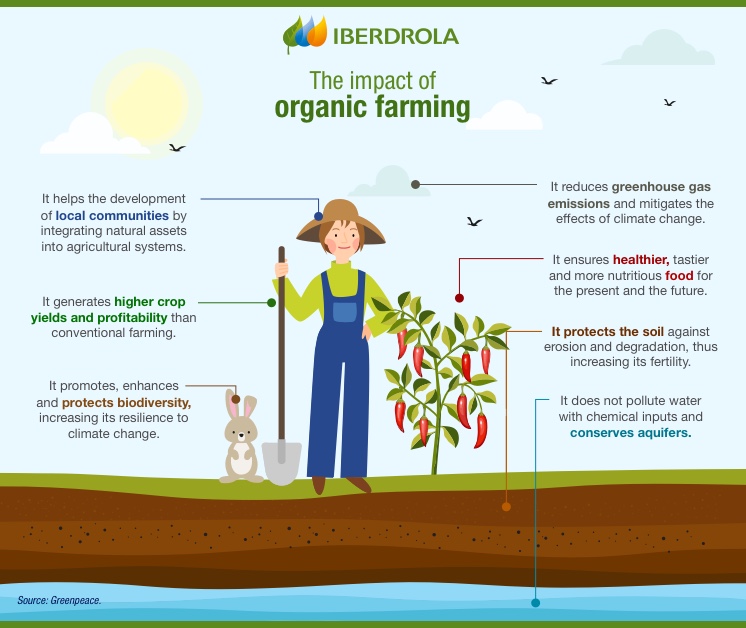 Organic food, Definition, Policies, & Impacts