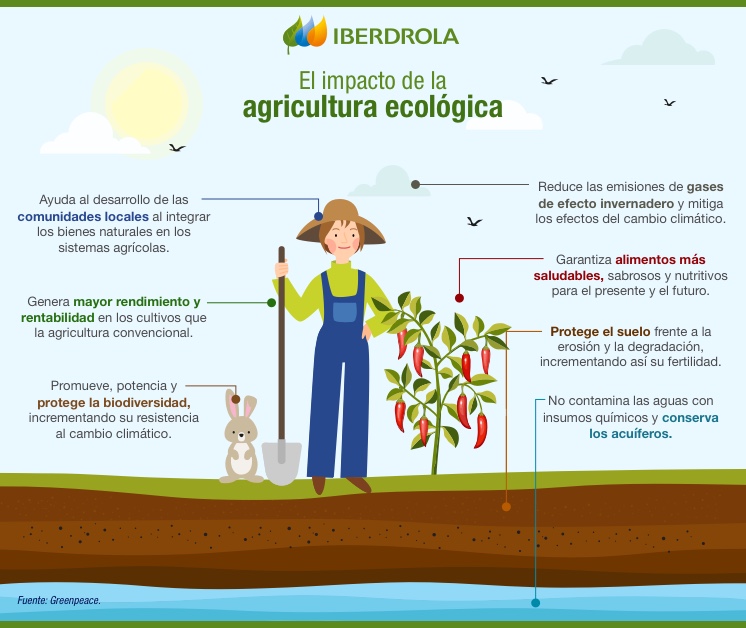 El impacto de la agricultura ecológica.