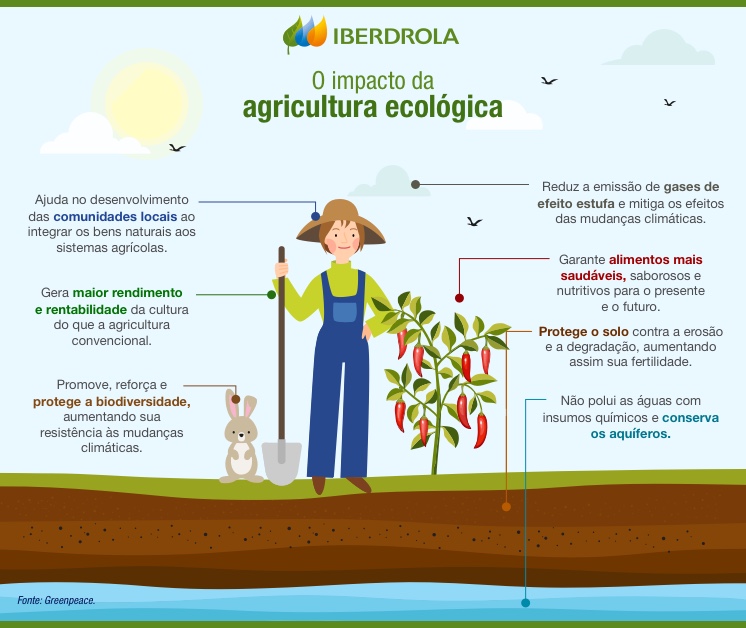 O impacto da agricultura ecológica.