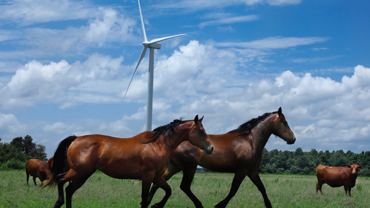 Amazon US East onshore wind farm (United States).