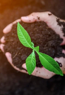 Contribution to sustainability in 2024