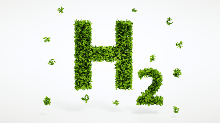the importance of hydrogen