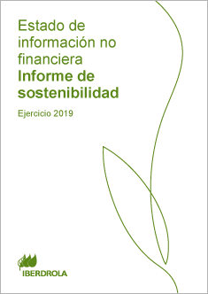 Estado de información no financiera. Informe de sostenibilidad 2019.