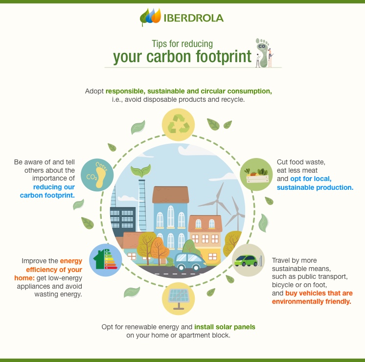 Infographic_Reducing_Carbon_Footprint