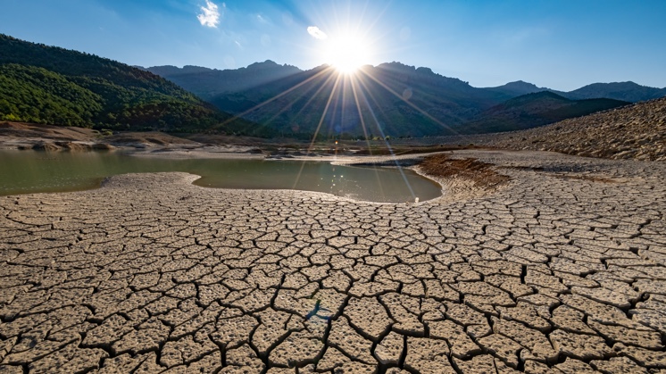 Desertification threatens different areas of the planet.