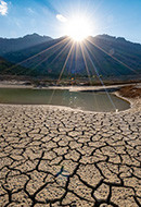 Desertificación