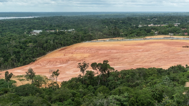Deforestation in the Amazon, the world's largest forest, is continuing.