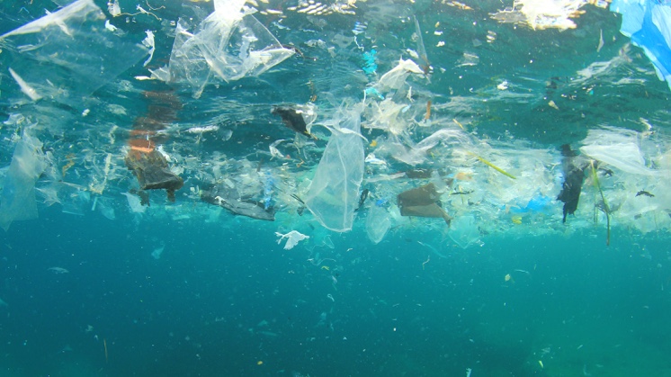 Plastics have created an island in the middle of the Pacific Ocean.