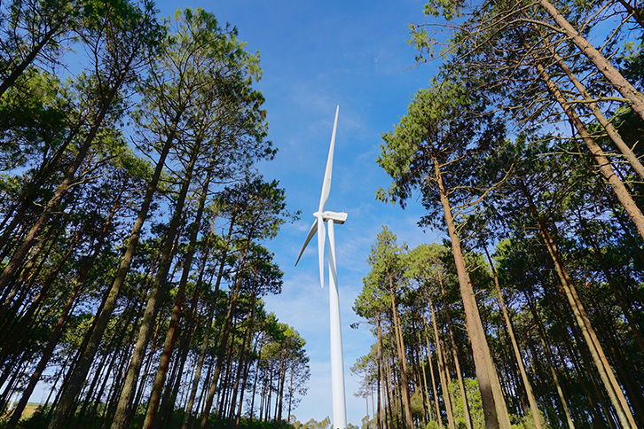 O novo parque eólico terá uma capacidade de 274 MW e será construído na distritos da Vila Real e Braga.