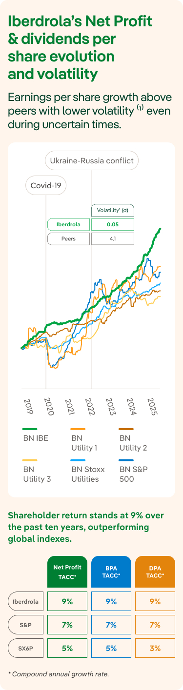 Volatilidad beneficio neto