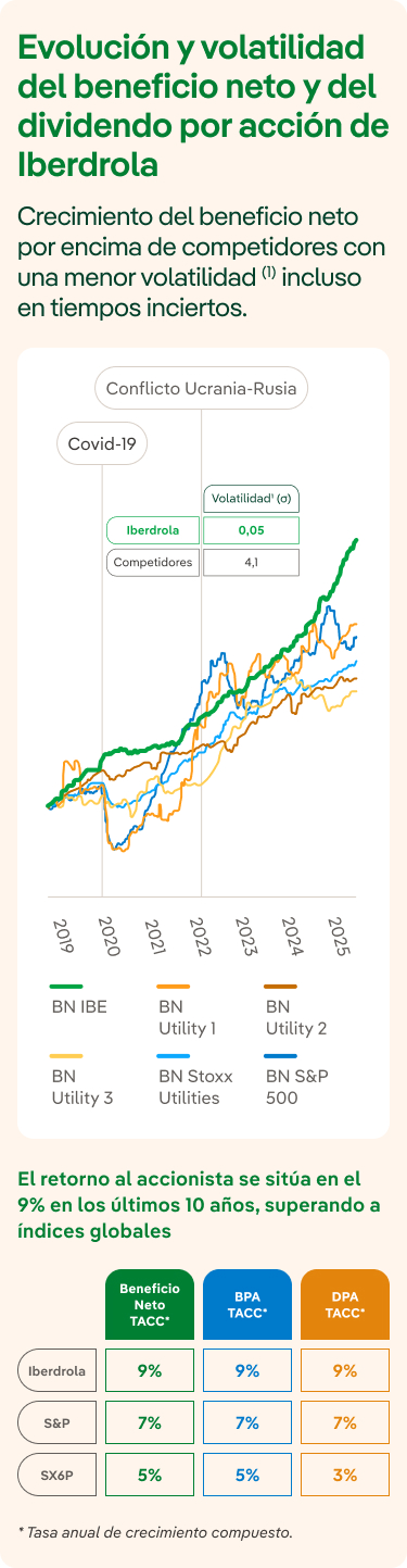 Volatilidad beneficio neto