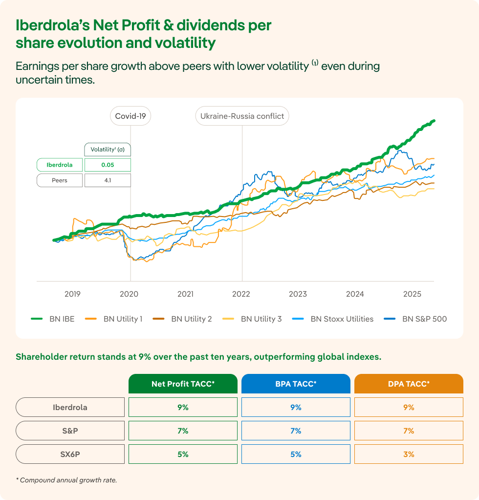 Volatilidad beneficio neto