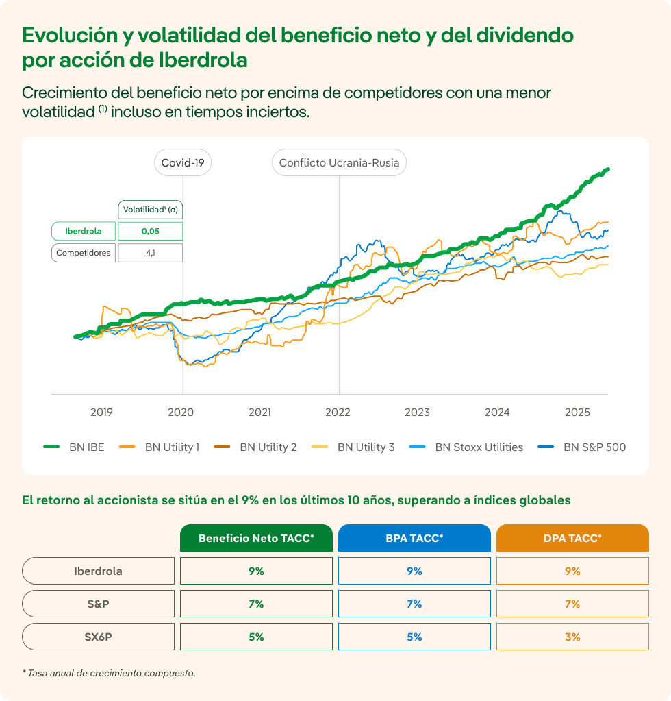 Volatilidad beneficio neto