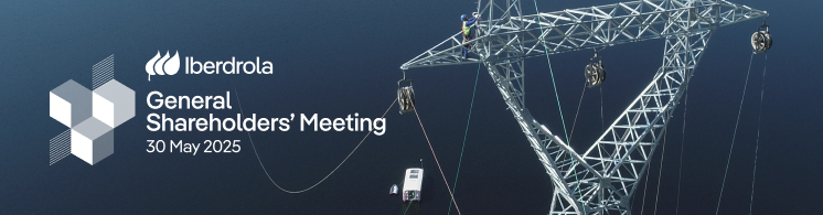 Image of a dam of grids with key visual of the 2025 Annual General Meeting of Shareholders.