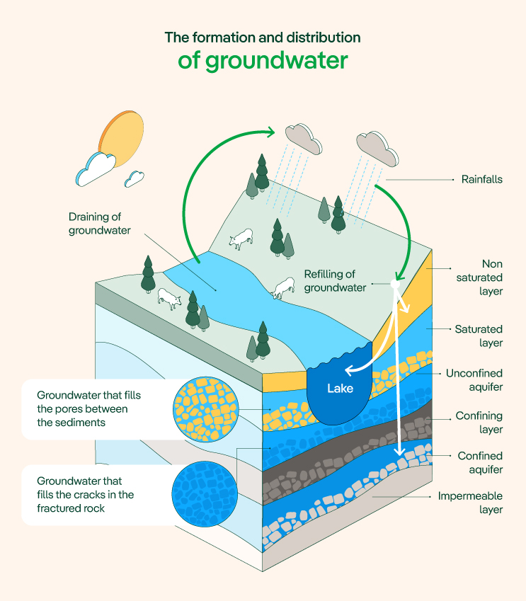 The formation and distribution of groundwater.