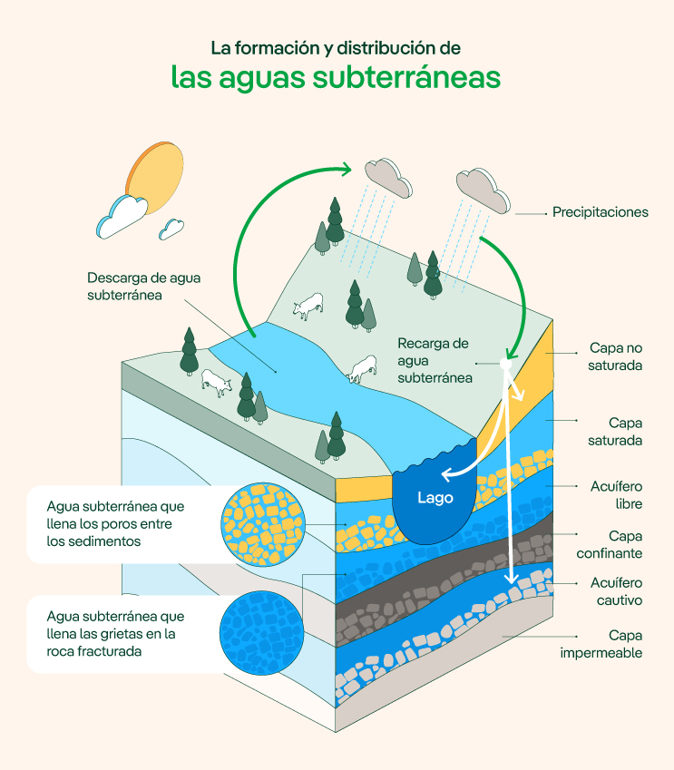 La formación y distribución de las aguas subterráneas.
