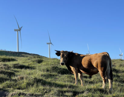 Día mundial de la biodiversidad