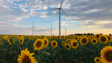 Towards a low-carbon economic model