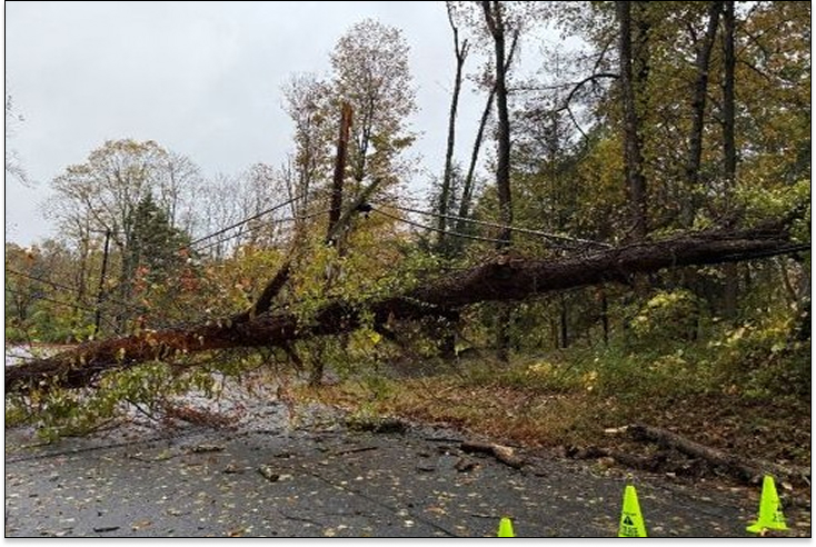 Daños por la tormenta en Lewisboro, NY