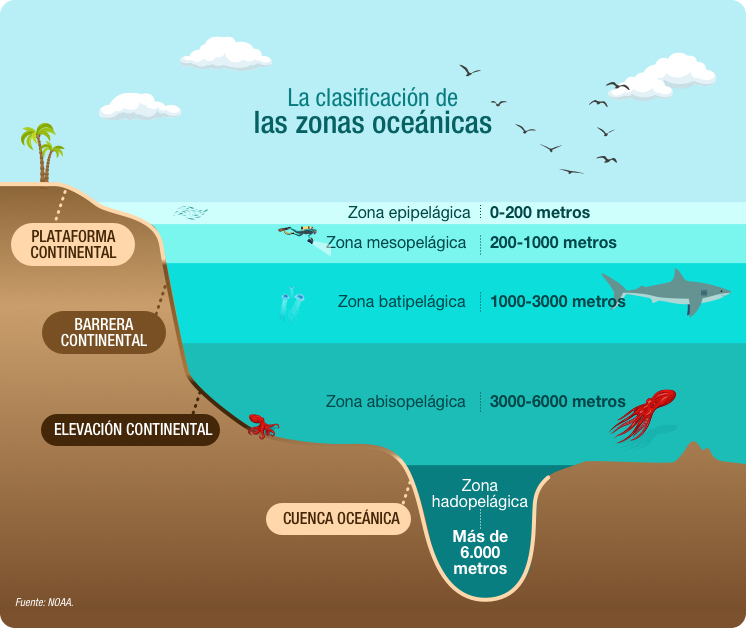 Clasificación de las zonas oceánicas