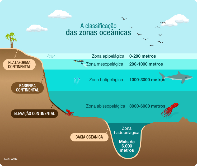 A classificação das zonas oceânicas.