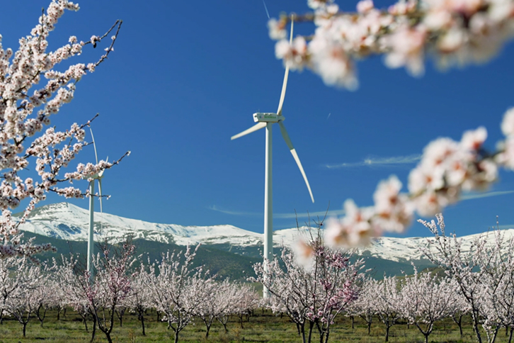 Iberdrola, líder en el mercado europeo de contratos de energía limpia a largo plazo por tercer año consecutivo