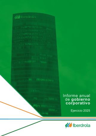 Informe anual de gobierno corporativo 2025
