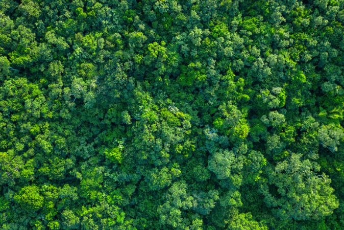 Sustainability Report