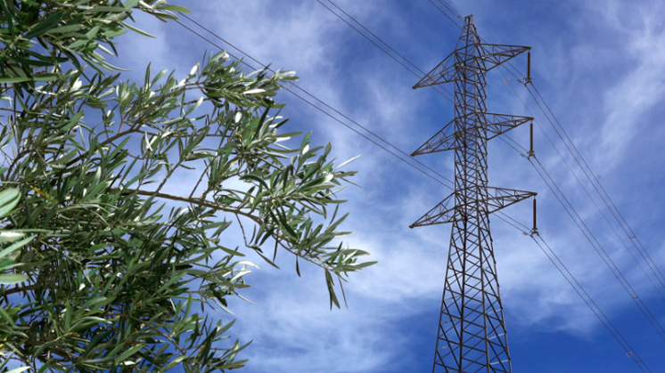 Grid backbone