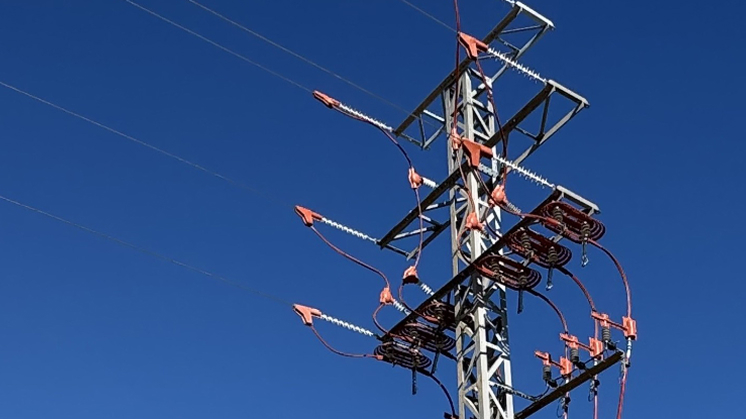 Distribution backbone