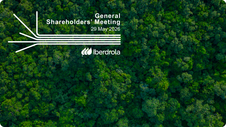 Solicitudes de información