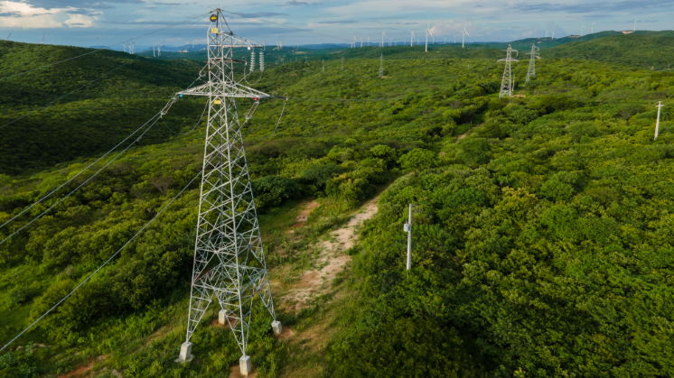 Día Internacional de la Luz