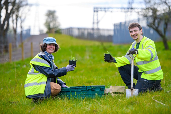 A Iberdrola e a Buglife promovem uma rede de habitats para polinizadores em subestações elétricas na Escócia